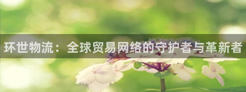 用usdt交易安全吗