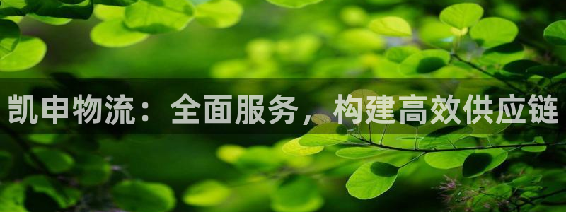 有没有用usdt做矿工费的钱包