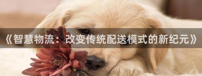 usdt交易pc版.官网下载.中国