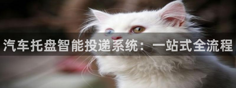 钱包添加usdt