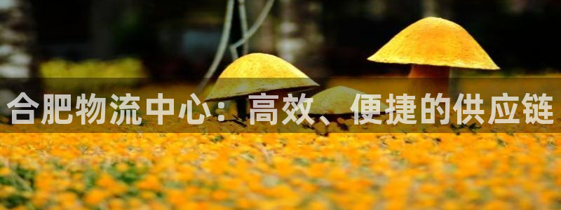 usdt钱包地址开头