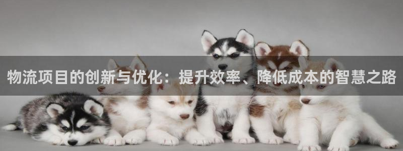 usdt钱包余额截图改动软件