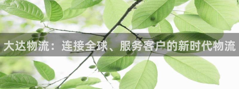 USDT钱包下载入口