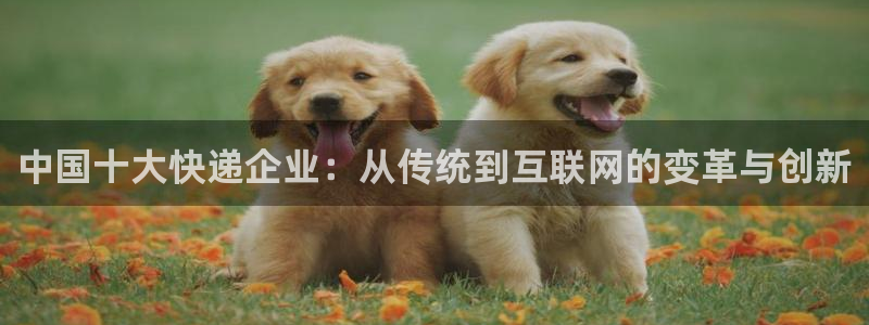 usdt合法