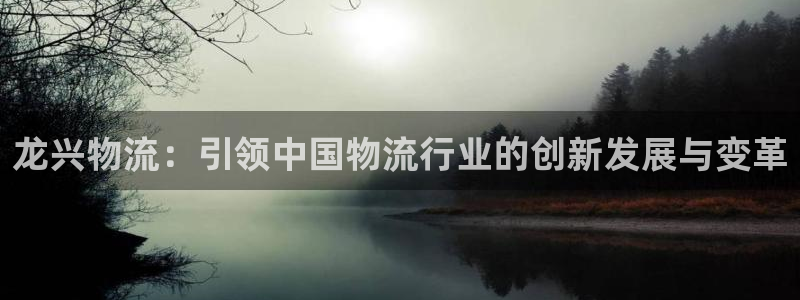 usdt网络