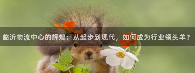 最安全的usdt钱包