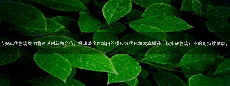 usdt属于：吉安现代物流集团将通过创新和合作，推动整个区域