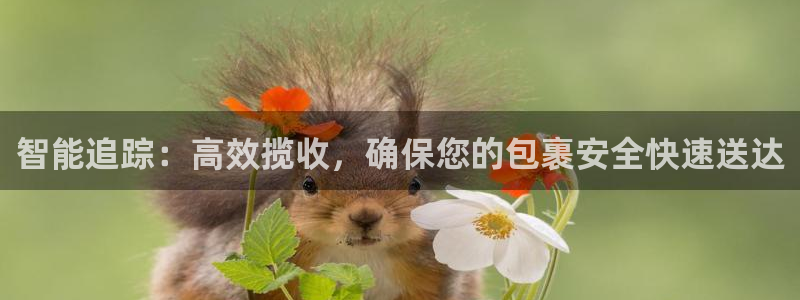 usdt怎么提现到银行卡哪里