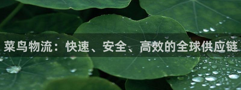 usdt提现到微信