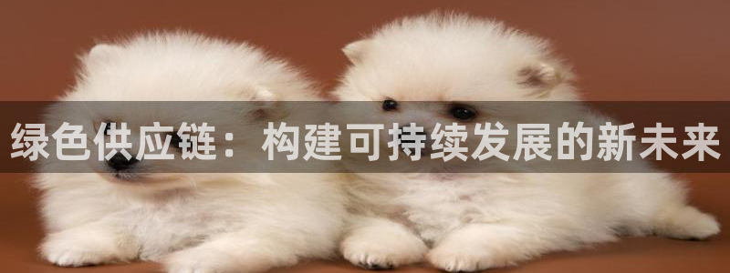 usdt钱包苹果版官方下载教程
