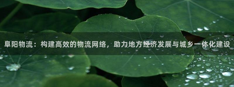 usdt erc20钱包：阜阳物流：构建高效的物流网络，助力